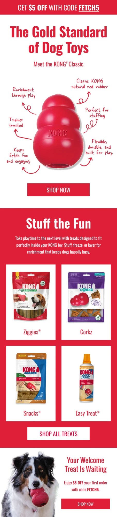 KONG dog welcome email: The gold standard of dog toys, meet the KONG Classic, and stuff-the-fun treats