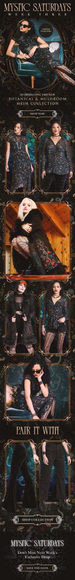 Midnight Hour Mystic Saturdays email: Botanical & Mushroom Mesh