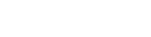 Veer