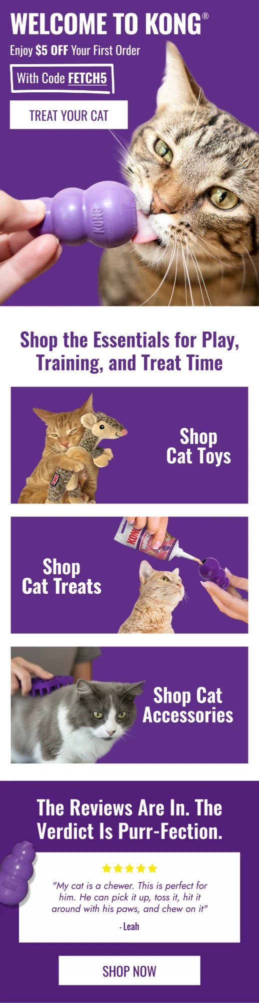 KONG cat welcome email: Welcome to KONG, $5 off with code FETCH5, shop cat toys, treats and accessories, with a review